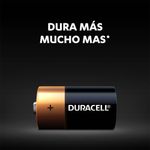 Blister-Pilas-Tamano-C-X2-Duracell-C