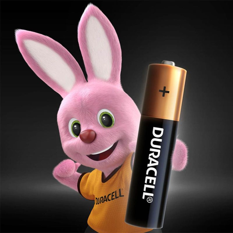 Set de 2 pilas alcalinas C Duracell