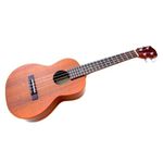 Ukelele-21P-Con-Bolso-Alaguez-Ukeleles