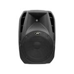 Bafle-Activo-Peavey-Pbk-15P-Parlantes