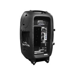 PEAVEY PARLANTE ACTIVO  PBK-15P