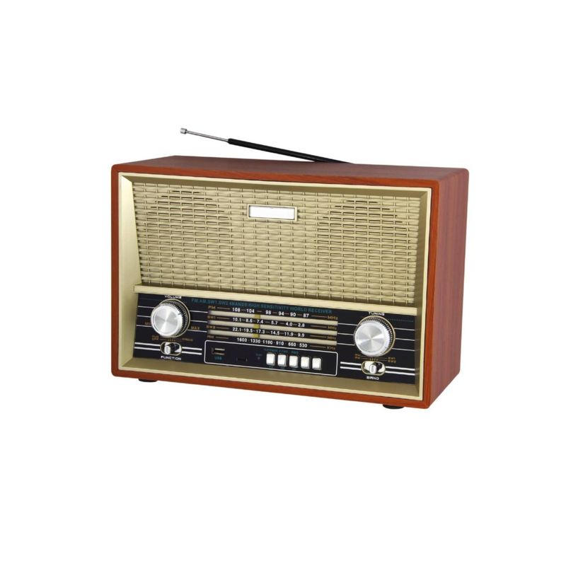 Radio Cassette AM/FM/SW Lector USB AudioPro®