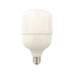 LEDZONE AMPOLLETA HIGH POWER E27 30W LED LZ-G10T100E2730W