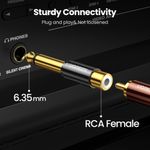 UGREEN-ADAPTADOR-GOLD-MONO-RCA-H-M-PLUG-6.3MM-AV169