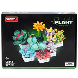 WOMA PLANTAS SUCULETAS